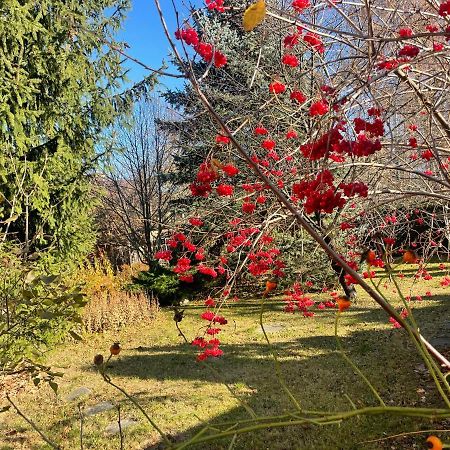 Роксолана Bed & Breakfast Truskavets Eksteriør bilde